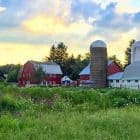 Skylands Animal Sanctuary & Rescue